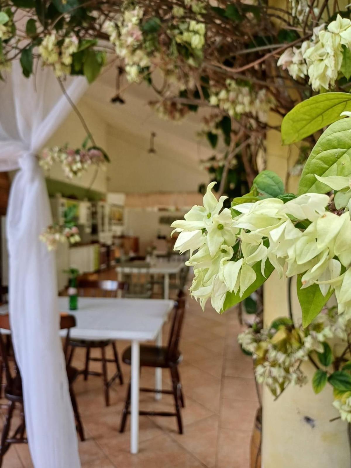 Chacara Rosa Cortiana Bed & Breakfast São Gabriel Dış mekan fotoğraf