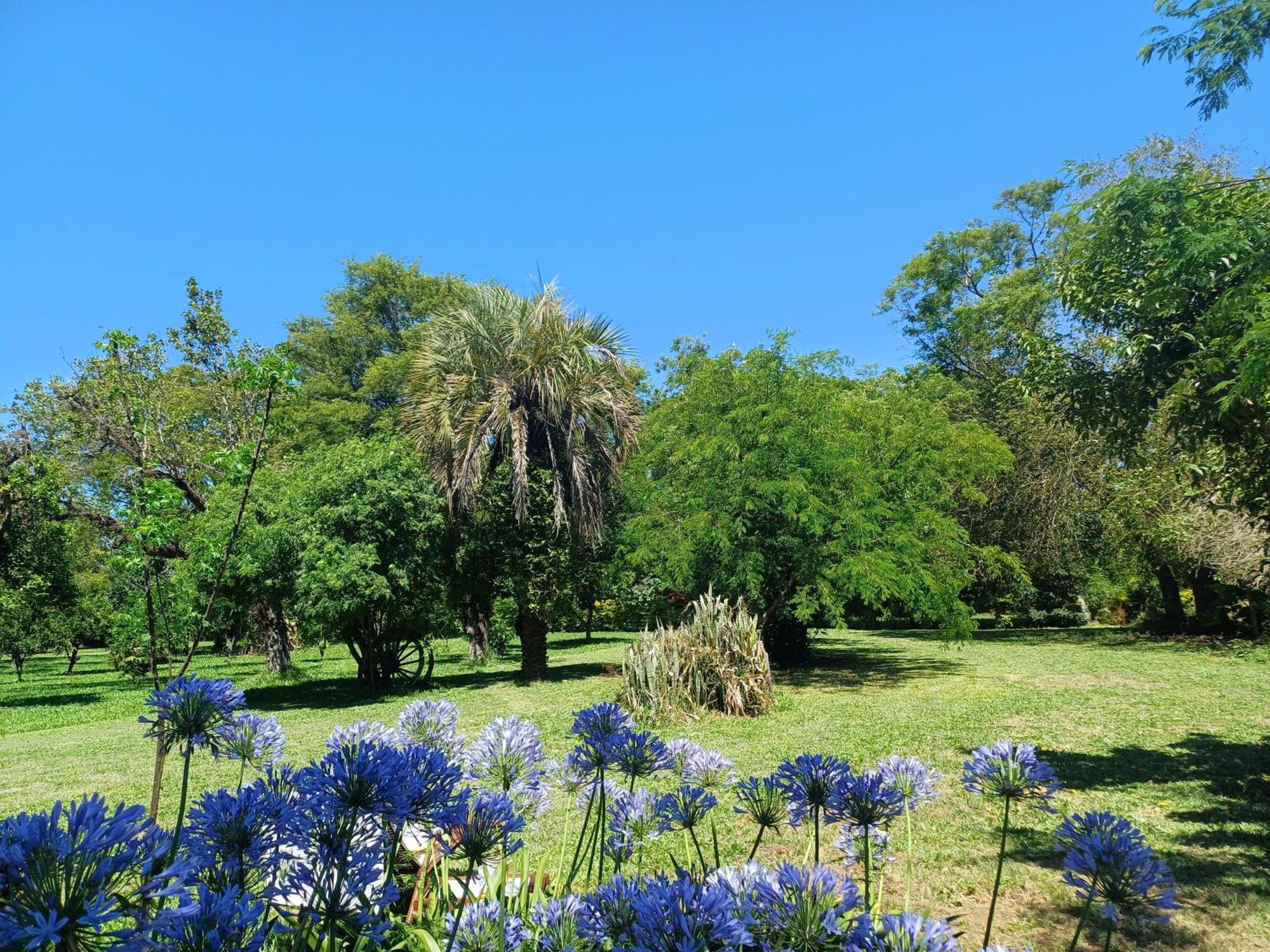 Chacara Rosa Cortiana Bed & Breakfast São Gabriel Dış mekan fotoğraf